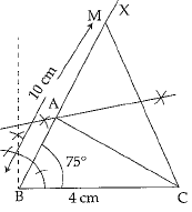 Class 9 Math: Sample Question Paper- 5 (With Solutions)