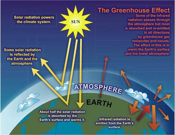 Greenhouse Effect | General Knowledge Encyclopedia - Class 8