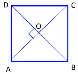 Understanding Quadrilaterals Class 8 Notes Maths Chapter 3
