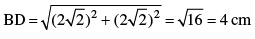 Math Past Year Paper with Solution - 2019, Class 10 | Mathematics (Maths) Class 10