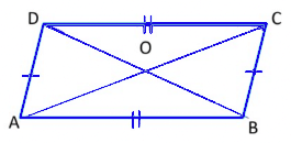 Understanding Quadrilaterals Class 8 Notes Maths Chapter 3