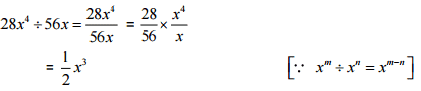 NCERT Solutions for Class 8 Maths - Factorisation- 2