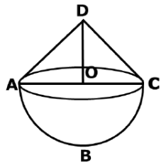 Math Past Year Paper with Solution - 2020, Class 10 - (Standard) | Mathematics (Maths) Class 10
