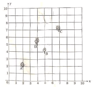 Math Past Year Paper with Solution - 2020, Class 10 - (Basic) | Mathematics (Maths) Class 10