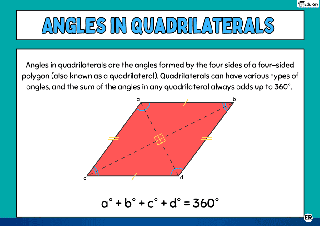 Infographics: Angles in Quadrilaterals | Mathematics (Maths) Class 8