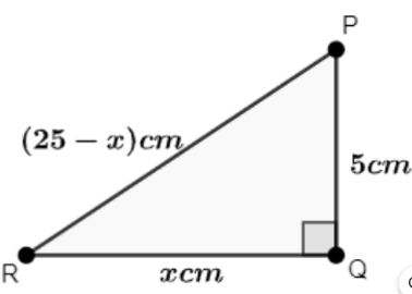 Class 10 Maths Chapter 8 Important Question Answers - Introduction to Trigonometry