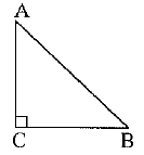 Class 10 Mathematics: CBSE Sample Question Paper (2019-20) - 2 | Mathematics (Maths) Class 10