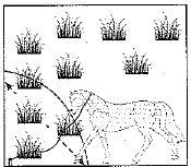 Class 10 Mathematics: CBSE Sample Question Paper (2019-20) - 10