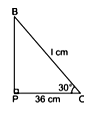 Case Based Questions: Some Applications to Trignometry | Mathematics (Maths) Class 10