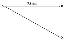 Class 10 Mathematics: CBSE (Official) Sample Question Paper with Solution (2020-21) (Basic) - 1 | Mathematics (Maths) Class 10