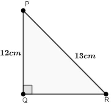 Class 10 Maths Chapter 8 Important Question Answers - Introduction to Trigonometry
