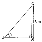 Class 10 Mathematics: CBSE Sample Question Paper (2019-20) - 3 | Mathematics (Maths) Class 10
