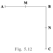 NCERT Exemplar Solutions: Introduction to Euclid`s Geometry | Mathematics (Maths) Class 9