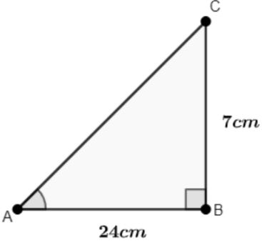 Class 10 Maths Chapter 8 Important Question Answers - Introduction to Trigonometry