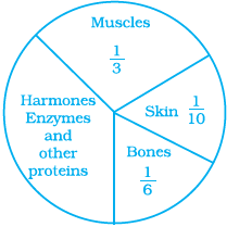 NCERT Exemplar Solutions: Data Handling | Mathematics (Maths) Class 8