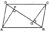 Class 9 Math: Sample Question Paper- 5 (With Solutions)