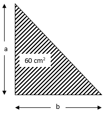 RS Aggarwal Solutions: Perimeter and Area of Plane Figures- 1 - Class 10