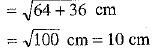 Class 10 Mathematics: CBSE Sample Question Paper (2019-20) - 6