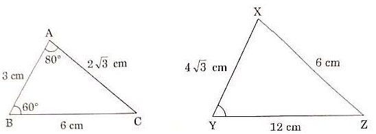 Math Past Year Paper with Solution - 2020, Class 10 - (Basic) | Mathematics (Maths) Class 10