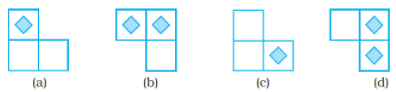 NCERT Exemplar Solutions: Visualising Solid Shapes | Mathematics (Maths) Class 8