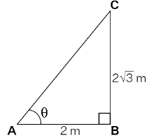 NCERT Exemplar: Introduction to Trigonometry | Mathematics (Maths) Class 10
