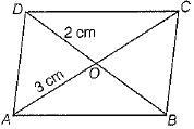 Class 9 Math: Sample Question Paper- 10 (With Solutions)