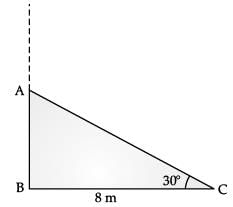 Class 10 Mathematics: CBSE (Official) Sample Question Paper with Solution (2020-21) (Basic) - 1 | Mathematics (Maths) Class 10