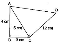 Class 9 Math: Sample Question Paper- 10 (With Solutions)