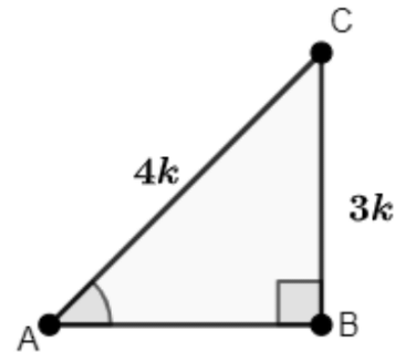 Class 10 Maths Chapter 8 Important Question Answers - Introduction to Trigonometry