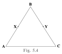 NCERT Exemplar Solutions: Introduction to Euclid`s Geometry | Mathematics (Maths) Class 9