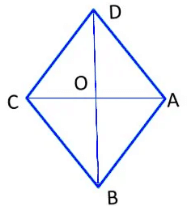 Understanding Quadrilaterals Class 8 Notes Maths Chapter 3