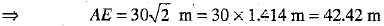 Class 10 Mathematics: CBSE Sample Question Paper (2019-20) - 10