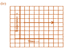 Introduction to Graphs NCERT Solutions - Class 8