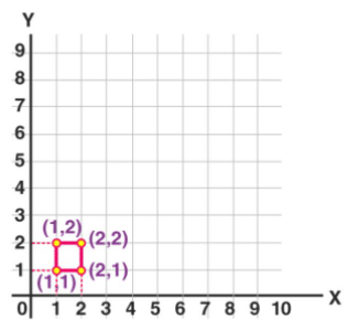 NCERT Exemplar Solutions: Introduction to Graphs | Mathematics (Maths) Class 8