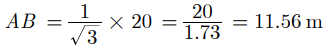 Class 10 Maths Chapter 9 Assertion and Reason Questions - Some Applications of Trigonometry
