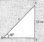 Class 10 Mathematics: CBSE Sample Question Paper (2019-20) - 5 | Mathematics (Maths) Class 10
