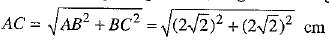 Class 10 Mathematics: CBSE Sample Question Paper (2019-20) - 2 | Mathematics (Maths) Class 10
