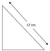 RS Aggarwal Solutions: Perimeter and Area of Plane Figures- 1 - Class 10