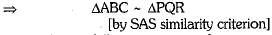 Class 10 Mathematics: CBSE Sample Question Paper (2019-20) - 8 | Mathematics (Maths) Class 10