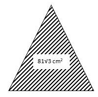 RS Aggarwal Solutions: Perimeter and Area of Plane Figures- 1 - Class 10