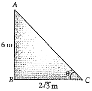 Class 10 Mathematics: CBSE Sample Question Paper (2019-20) - 5 | Mathematics (Maths) Class 10