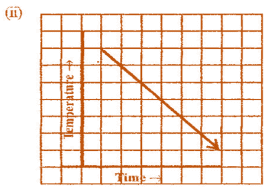 Introduction to Graphs NCERT Solutions - Class 8