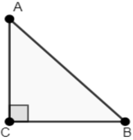 Class 10 Maths Chapter 8 Important Question Answers - Introduction to Trigonometry