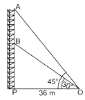 Case Based Questions: Some Applications to Trignometry | Mathematics (Maths) Class 10