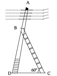 Class 10 Mathematics: CBSE Sample Question Paper (2020-21) (Standard) - 2 | Mathematics (Maths) Class 10