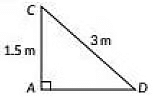 Class 10 Maths Chapter 9 Previous Year Questions - Some Application of Trigonometry