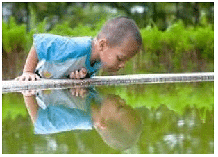 Mirror Images And Water Images | Science Olympiad Class 6