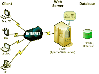 Detailed Notes: Basics of Information Technology | Computer Science for Grade 9