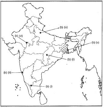Class 10 Social Science: CBSE Sample Question Paper (2019-20) - 3 | Social Studies (SST) Class 10