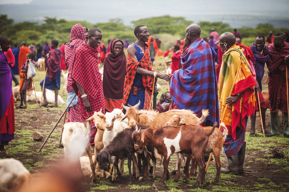 Mnemonics: Pastoralists in the Modern World | Social Studies (SST) Class 9